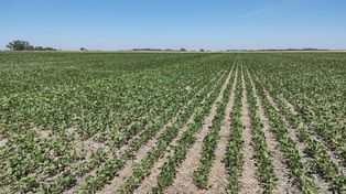 El objetivo del programa de atención ciudadana es brindar asistencia e información sobre los requisitos y beneficios de la Ley 26.509 de Emergencias y Desastres Agropecuarios a productores que hayan sido afectados por la falta de lluvias durante la actual campaña.