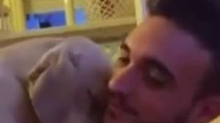 Un dueño que quiso retar a su perro pero fue superado por la dulzura del animal