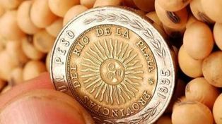 ¿Es inconstitucional el decreto que elimina el Fondo Sojero?