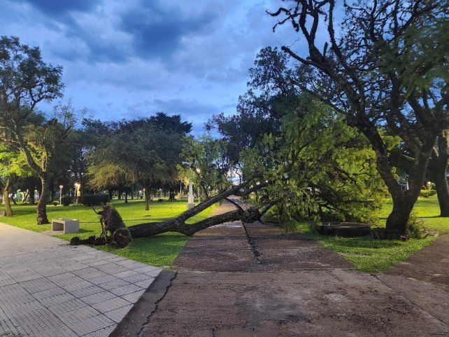 El temporal provocó destrozos en el norte entrerriano con voladuras de techos y caída de árboles.