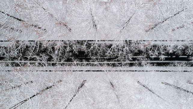 Las mejores fotos de la naturaleza de 2017 premiadas por National Geographic