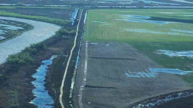 Las intervenciones humanas en el Delta que cortan el paso de agua para mejorar la producción ganadera aumentaron en Entre Ríos y Santa Fe.