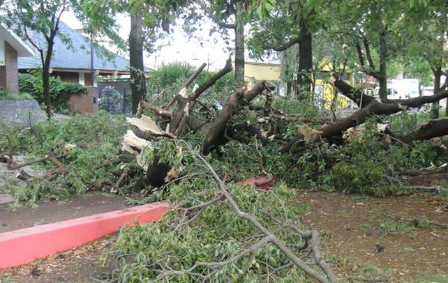 Intensas ráfagas de viento generan en 5 minutos destrucción en Venado