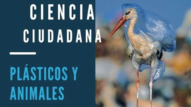 Para participar solo es necesario enviar fotos por mail o WhatsApp de animales interactuando con plásticos y registrar el lugar donde se tomó.