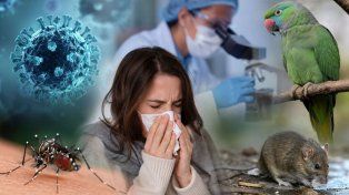 Aumentan los casos de gripe A y alertan por el crecimiento de la psitacosis y la leptospirosis en la provincia de Santa Fe
