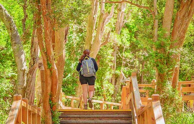 El Parque Nacional Los Arrayanes es una reserva natural única en el mundo en Neuquén.
