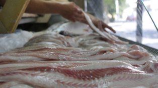 Pescaderías premium: el nuevo concepto que está conquistando el mercado 