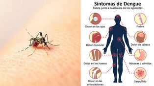 Hubo un repunte de casos de dengue en Santa Fe tras el fin de semana largo de Semana Santa