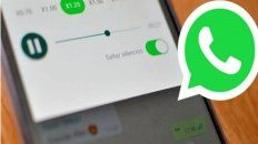 Audios. Para acortar los audios directamente en el celular se debe descargar Talk Faster desde Google Play. Audios. Para acortar los audios directamente en el celular se debe descargar Talk Faster desde Google Play.