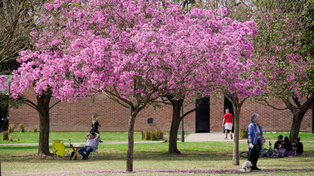 Vuelve el sol, pero apenas por un rato: se viene una seguidilla de días inestables
