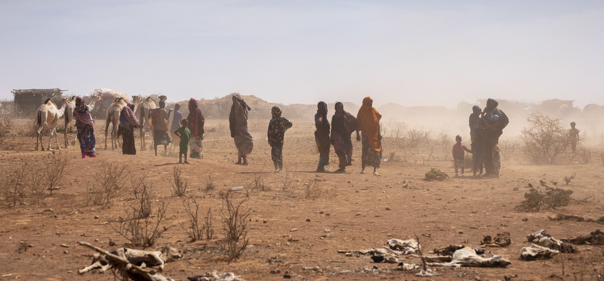 Mujeres y niños caminan junto a cadáveres de animales cerca de la aldea de Sagalo en la zona de Korahe de la región somalí de Etiopía. La región somalí de Etiopía, se ve pejudicada por la falta de agua debido a temporadas sin lluvias en la región, y Somalia, Kenia, y ahora Etiopía, han dado la voz de alarma sobre el último cambio climático.