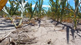 El cambio climático y la influencia de La Niña producen eventos como la sequía