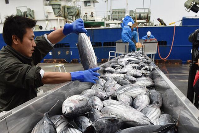 China prohibió la venta de productos provenientes de los mares japoneses, lo que afecta a los pescadores de la zona.