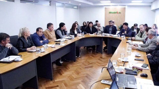 El Senado trabajó en comisión y trazó un cronograma de trabajo para el análisis del proyecto de ley de Reforma previsional. Varios sectores convocados al debate