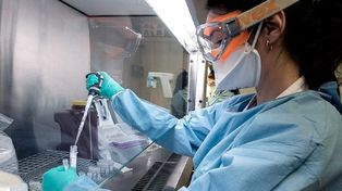 Coronavirus: hubo cinco muertos y los nuevos casos llegan a 1.795