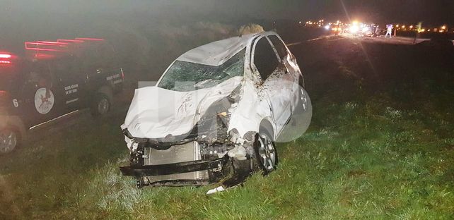 Dos autos chocaron dos vacas en la autopista Santa Fe - Rosario y lo pueden contar
