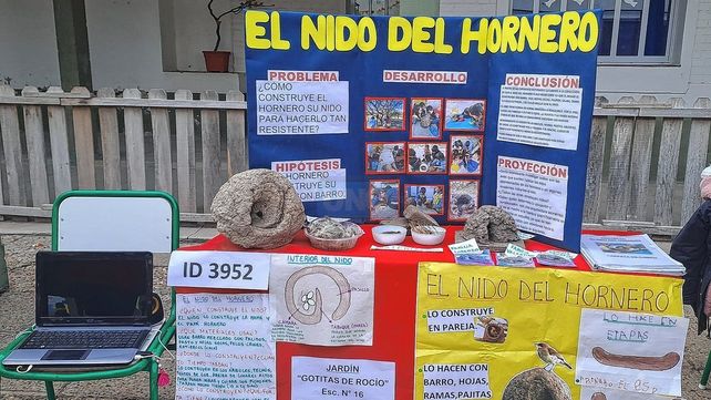 Ferias de Educación: comenzó la instancia departamental
