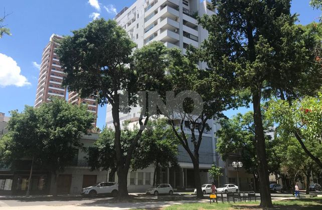 Esquina 4 de Enero y Santiago del Estero. Así lucen hoy los árboles que fueron podados a mediados del año pasado.