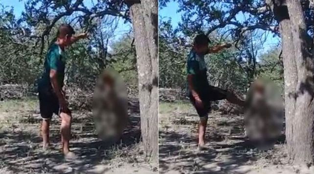 perra santiago del estero