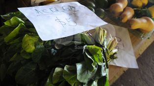 Los Quinteros, satisfechos con los resultados de la feria popular