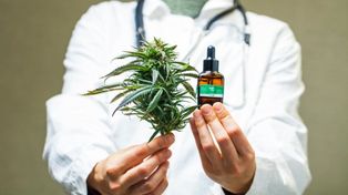 Primer curso de posgrado en prescripción e investigación de cannabis medicinal