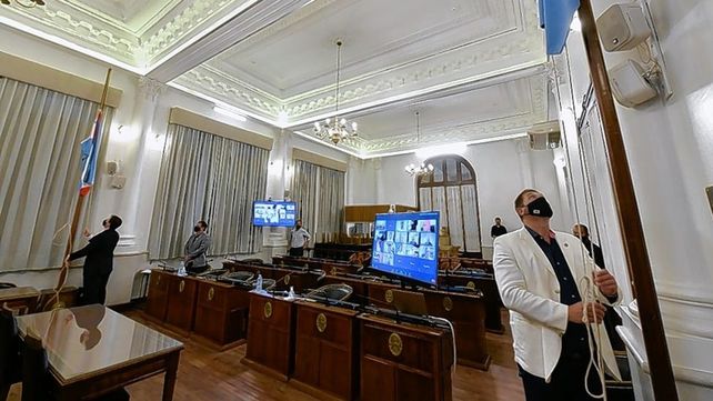 Ingresará al Senado el proyecto de la nueva ley sobre violencia de género&nbsp;