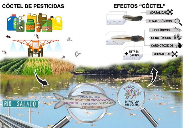 La mezcla de pesticidas es una amenaza letal oculta en los ríos de la cuenca del Paraná