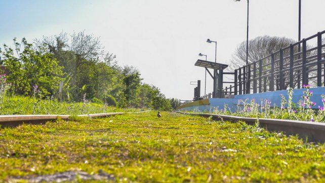 Parque Mayor, calmo enclave en la transformación del sureste