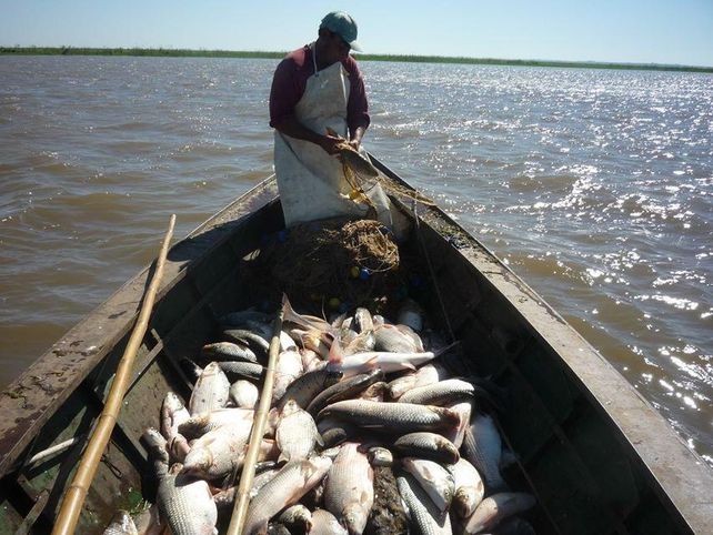 El río Paraná. El fallo judicial ordena al gobierno de Santa Fe diseñar y aplicar en 150 días un plan de pesca sustentable