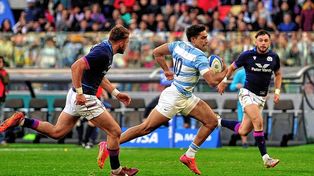 Los Pumas integrarán el Grupo D junto a Inglaterra, Japón, Samoa y Chile.