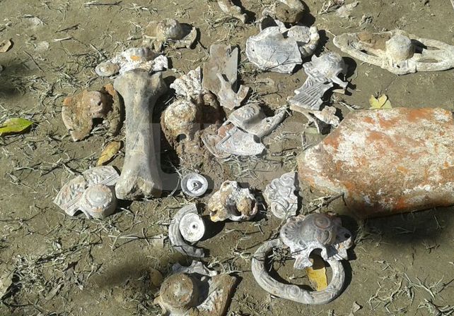 Alto Verde: encontraron restos del Cementerio en una calle