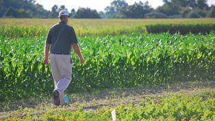Implementan nueva asistencia financiera para productores frutihortícolas