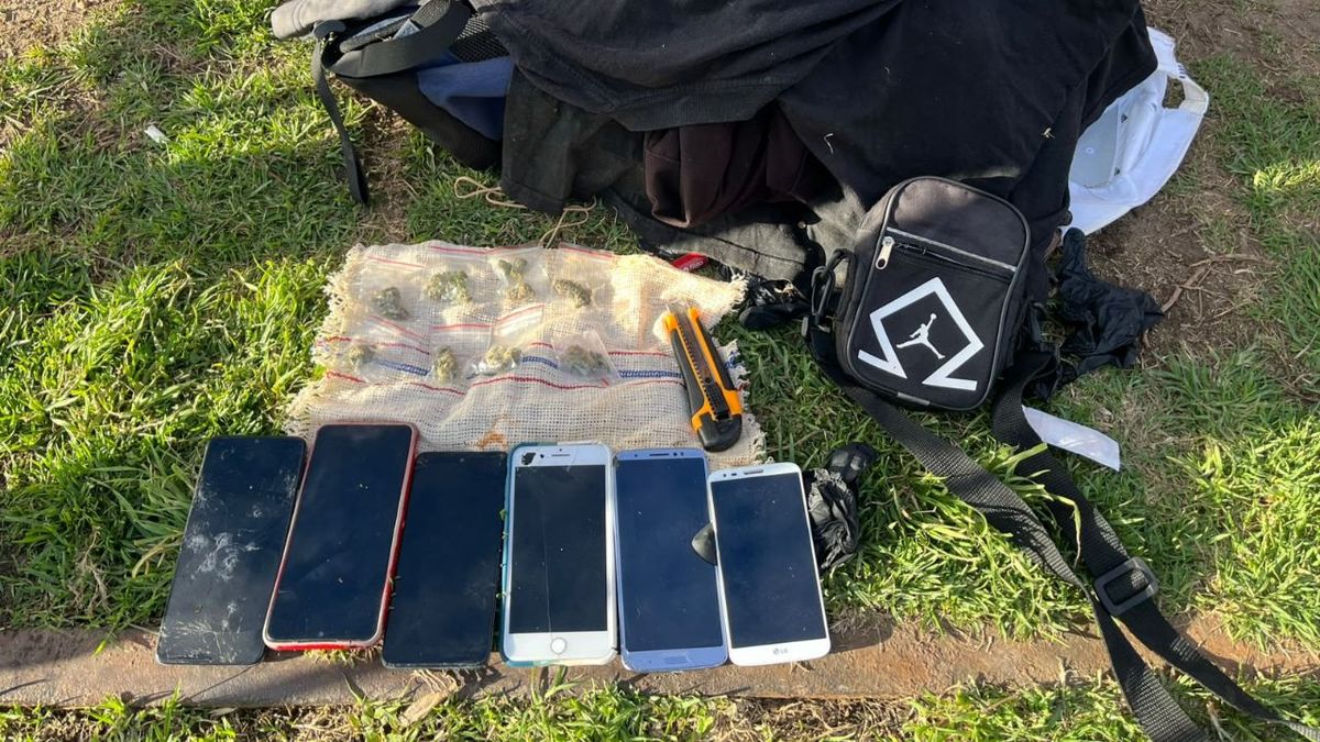 Festival Bandera: recuperaron siete celulares robados durante el evento