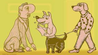 ¿Amores perros?