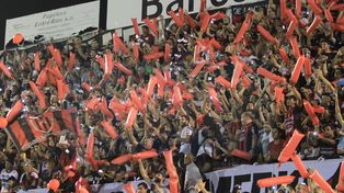 Patronato