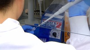 La provincia de Santa Fe suma 133 casos positivos de coronavirus