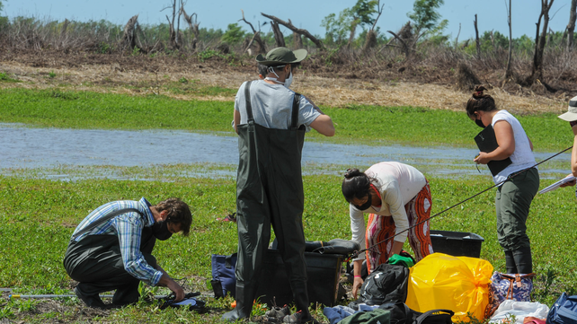 Se desarrollaron múltiples investigaciones en la Isla de los Mástiles durante la pandemia.