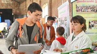 Los trabajos seleccionados entre un centenar de propuestas de las escuelas santafesinas participarán en septiembre de la muestra nacional en Tecnópolis.