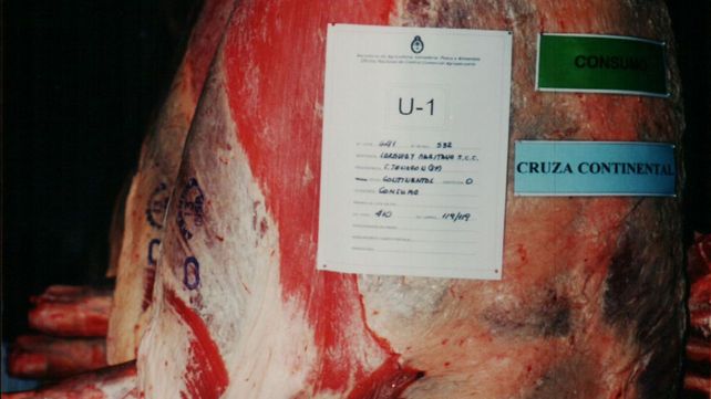 A futuro. Los precios de importación de China cayeron hasta 35%.