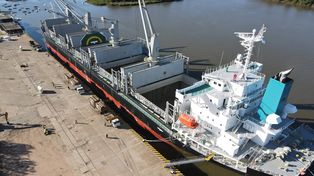 Exportaciones. Dos buques, que tienen como destino final el puerto de Kandla, en la India, cargarán producción forestal entrerriana para exportaciones en Concepción del Uruguay