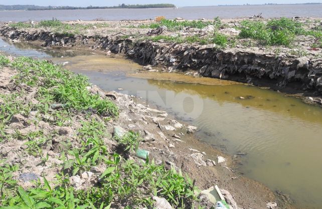 En solo tres horas, se removieron más de 500 kg de basura en la laguna Setúbal