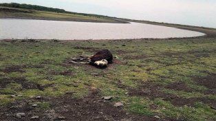 La Comisión Provincial de Emergencia y Desastre Agropecuario se terminó de conformar con la designación de los representantes del agro.