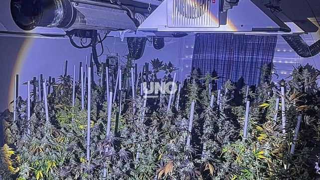 Fuego