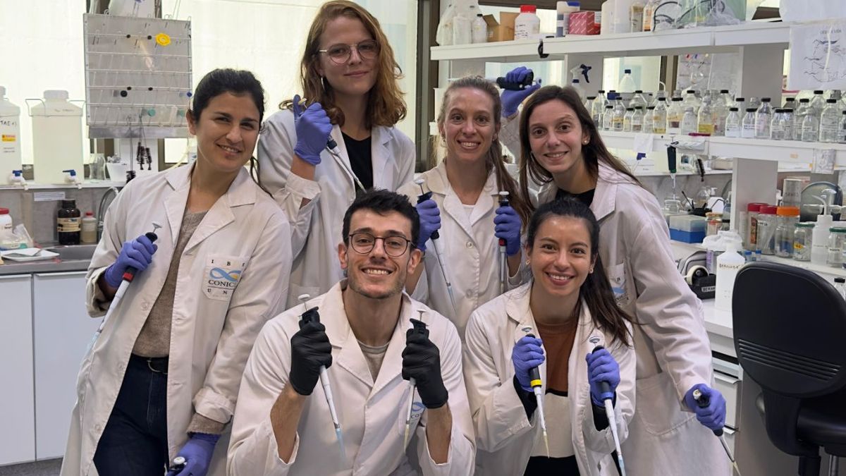 De la UNR a la élite de la ciencia mundial: premian a un joven investigador rosarino