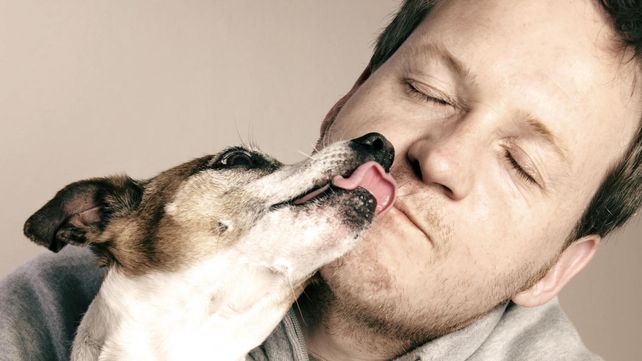 Los perros se dan cuenta cuando estamos tristes y tratan de ayudarnos