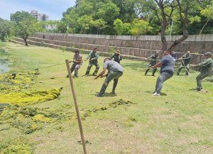 La Municipalidad de Santa Fe continúa con la limpieza de la arena, despeje de vegetación y trabajos de pintura