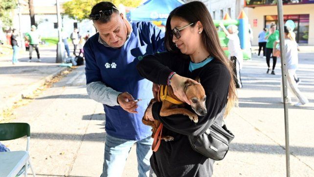 Imusa continúa con la campaña de sanidad animal en el Distrito Oeste