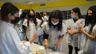 Los equipos directivos de escuelas de gestión privada y oficiales, docentes y legisladores&nbsp; afirman que los cambios&nbsp; en Educación nivelan para abajo.&nbsp;