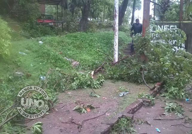 Terrible temporal de lluvia y viento generó graves destrozos en Paraná