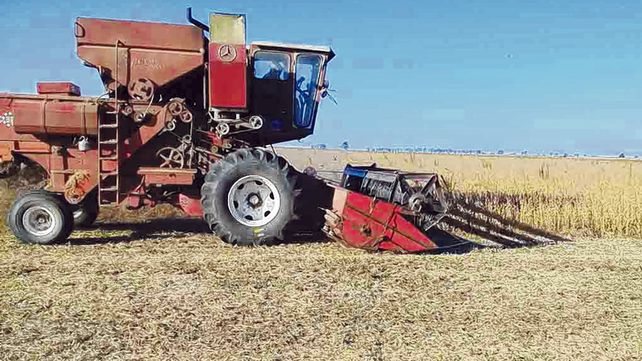 in situ. El productor agropecuario registró la imagen de la cosechadora utilizada para el hurto.